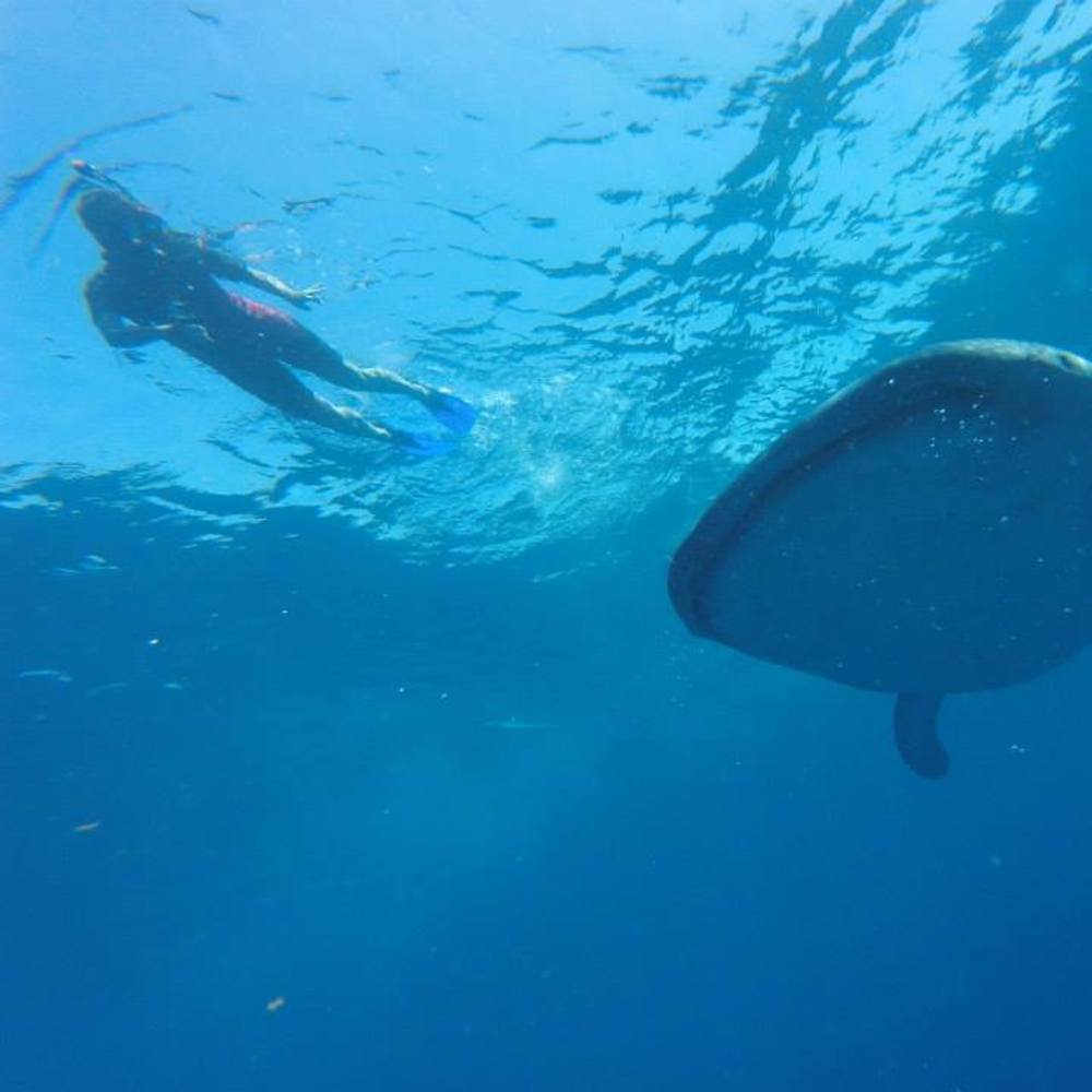 Meet your Posher, Ruth